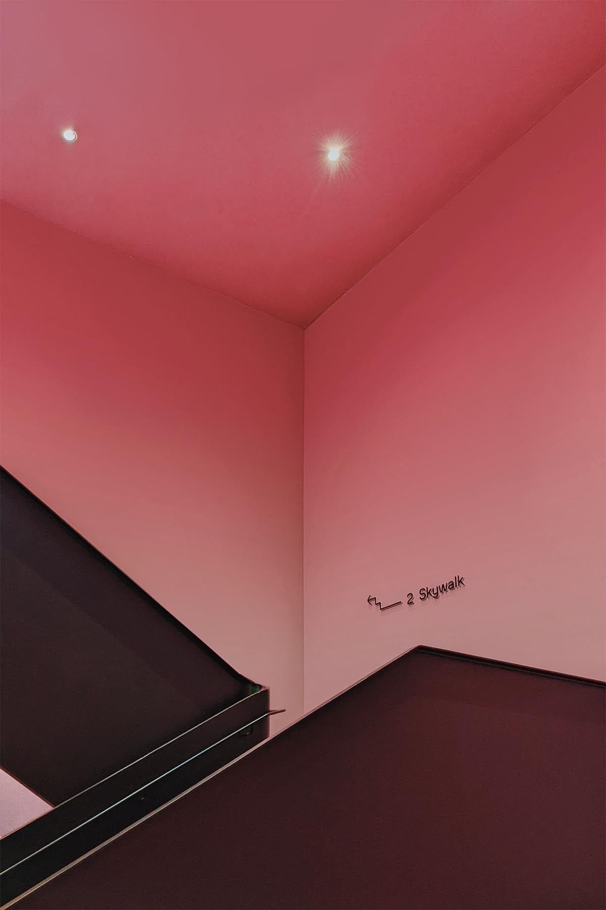  Gradient Color Pink