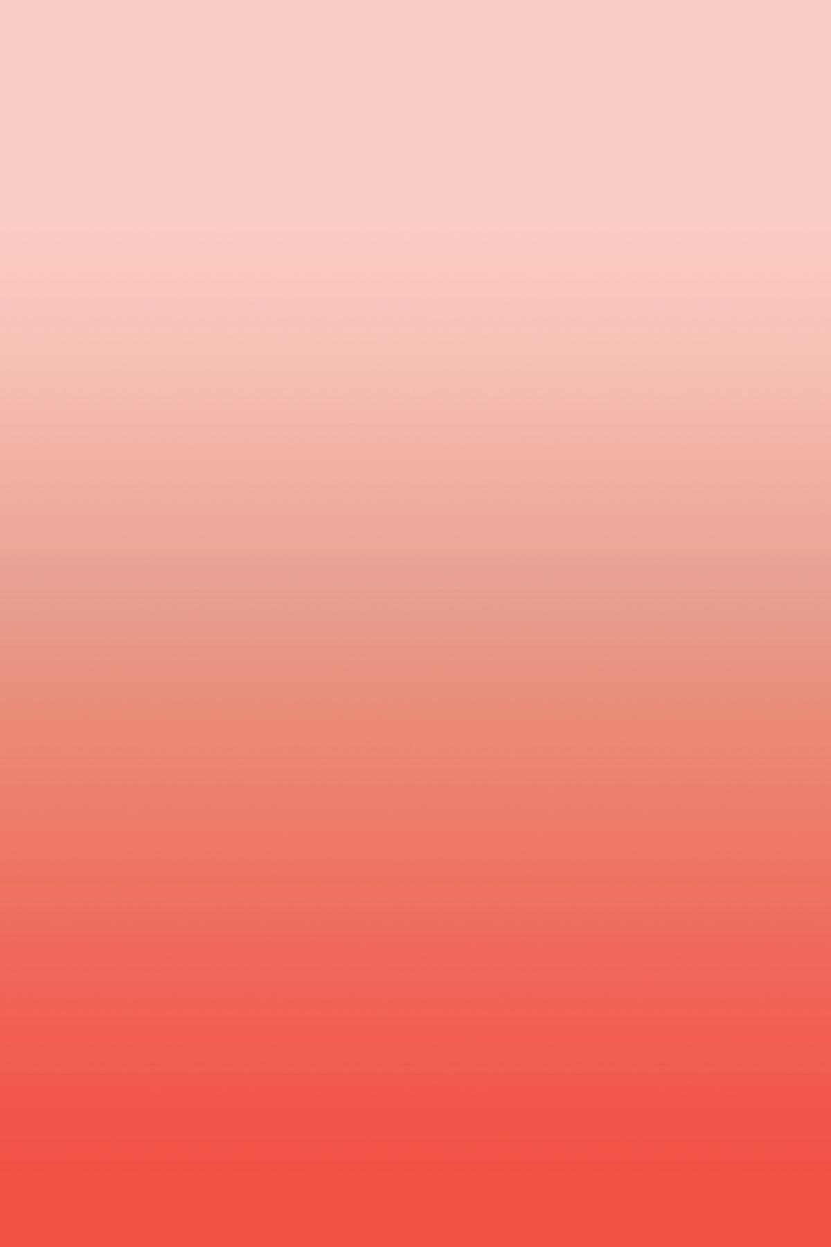  Gradient Color Orange