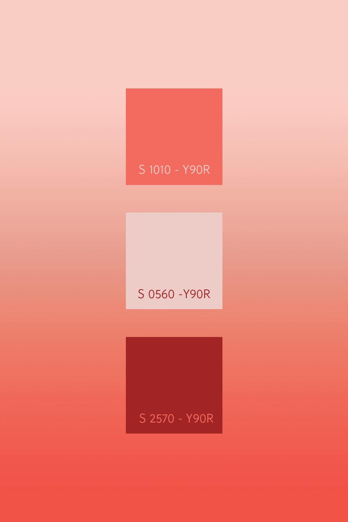  Gradient Color Orange