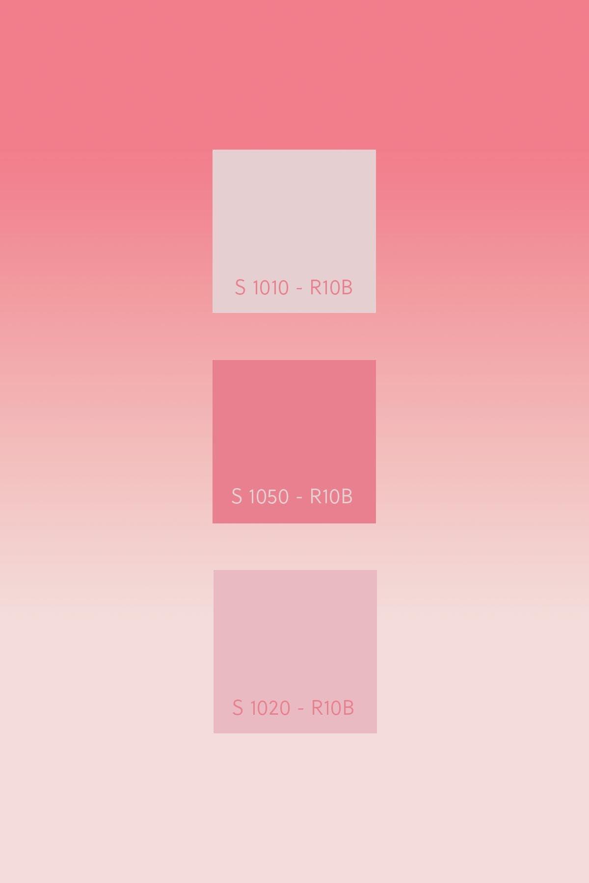 Gradient Color Pink