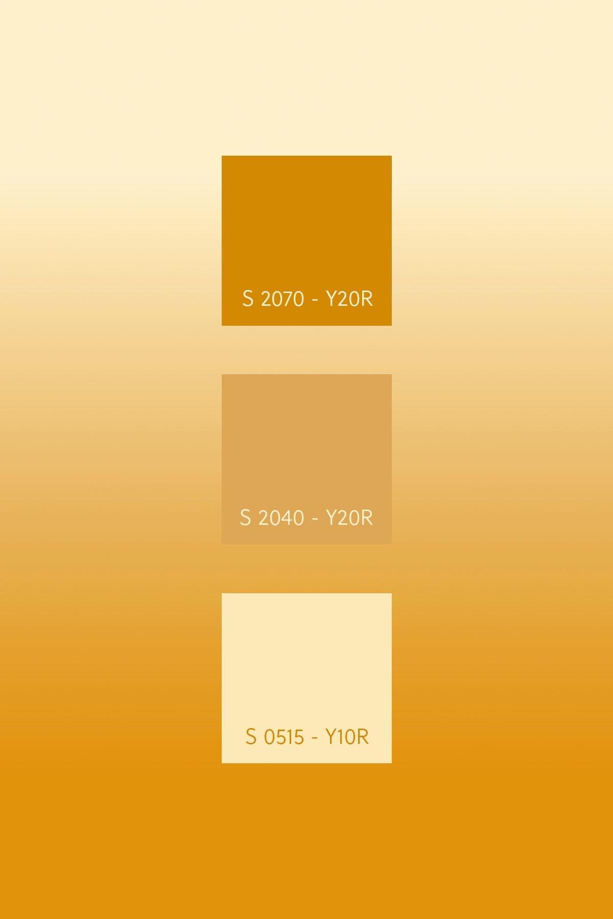  Gradient Color Yellow