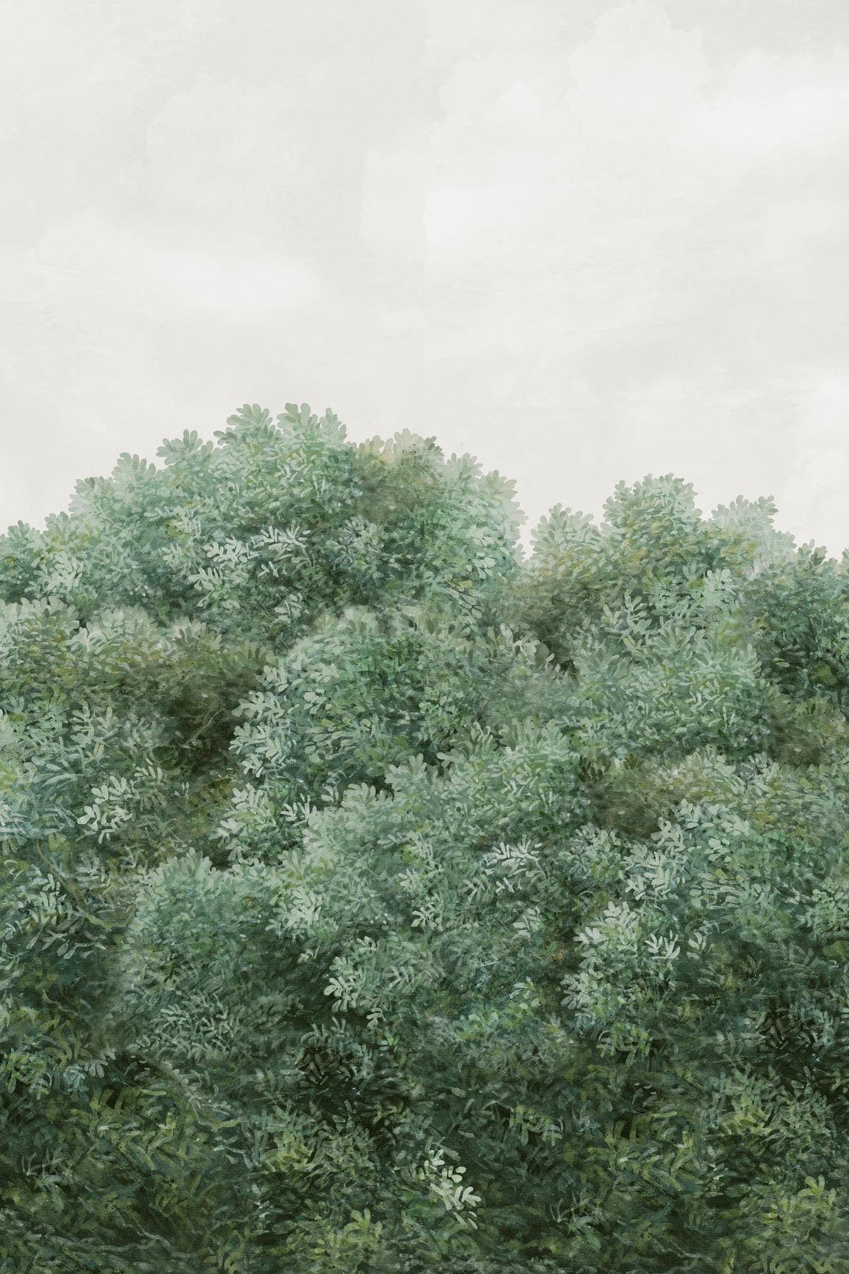  Climbing Wild Forest Ivy Green