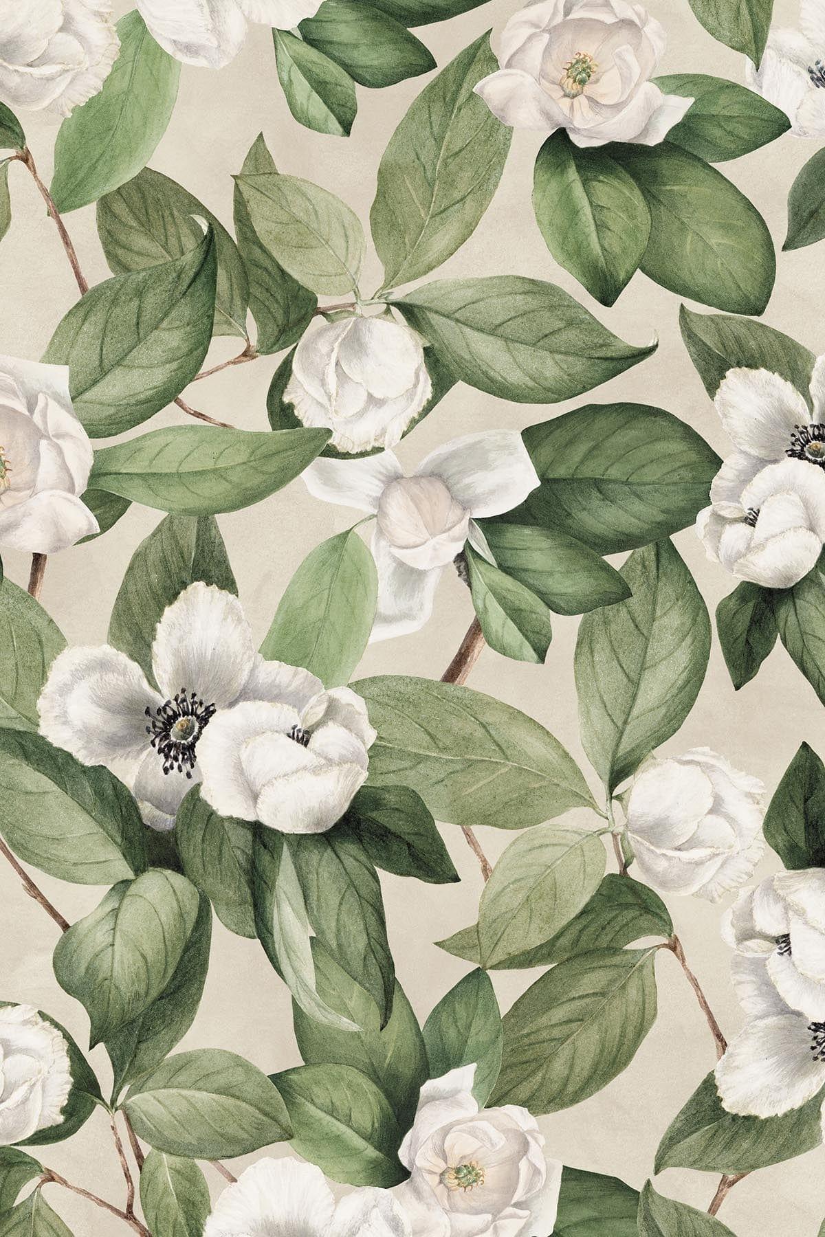  Magnolia Flower Creme White