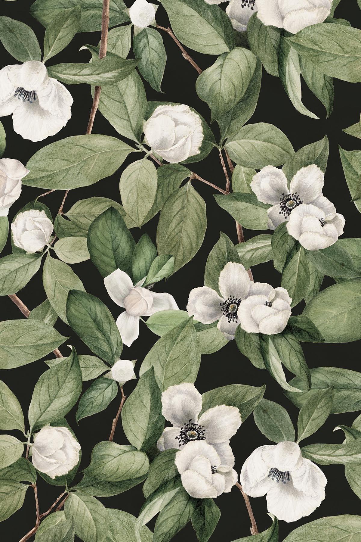  Magnolia Flower Black