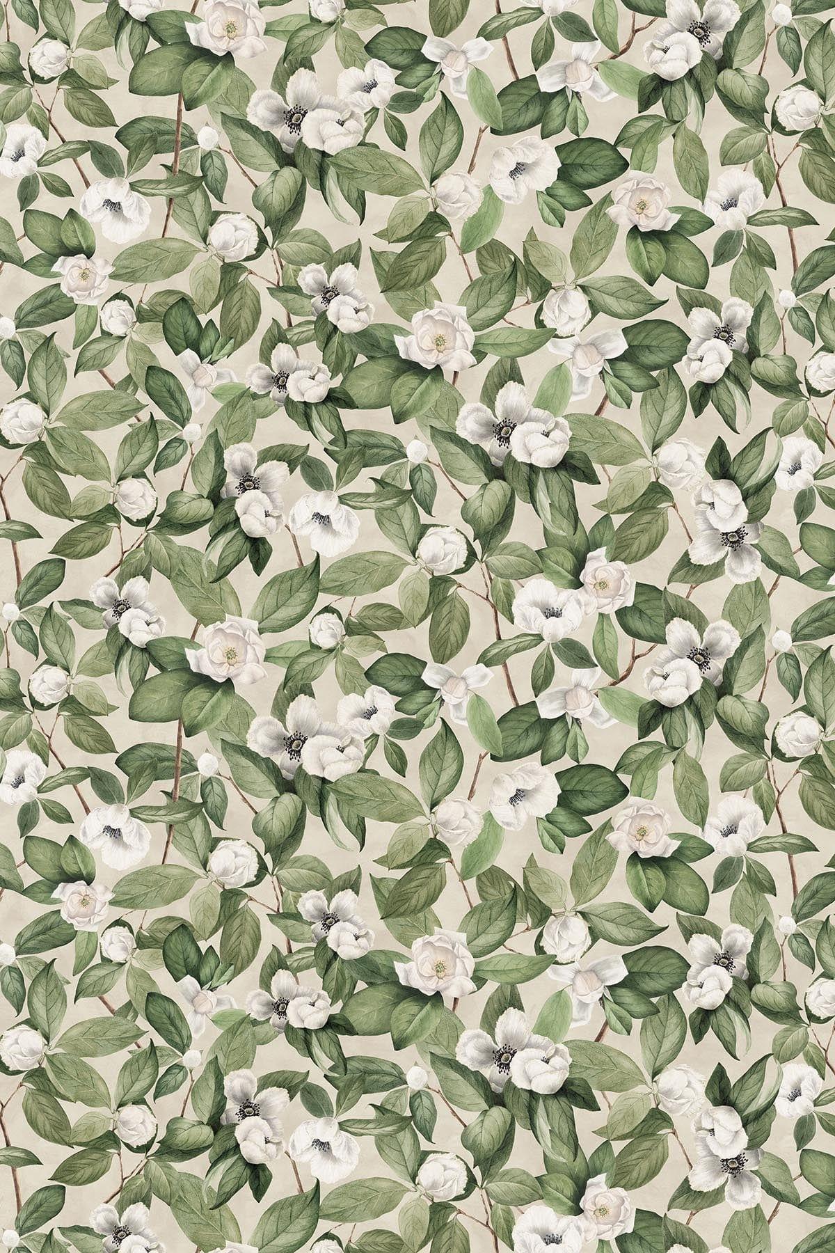  Magnolia Flower Small Creme White