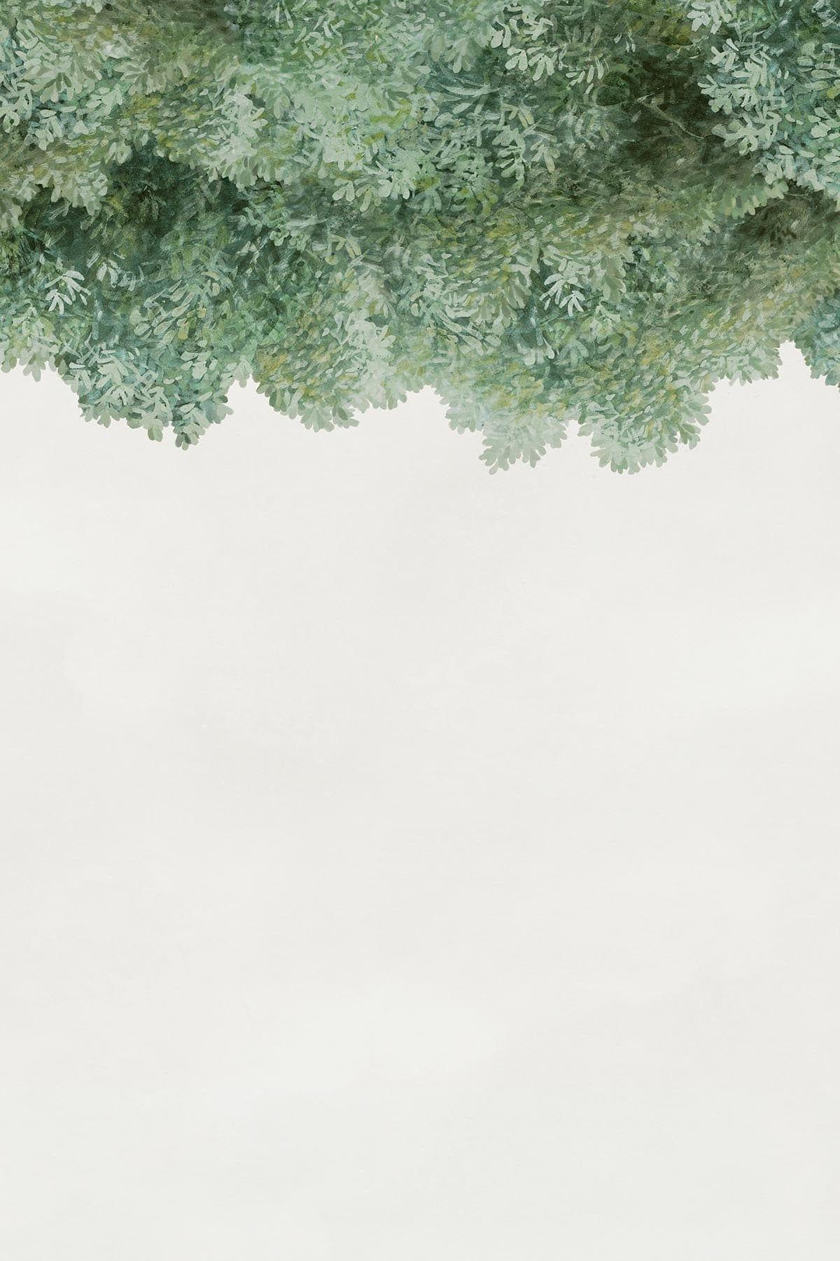  Sky Wild Forest Ivy Green
