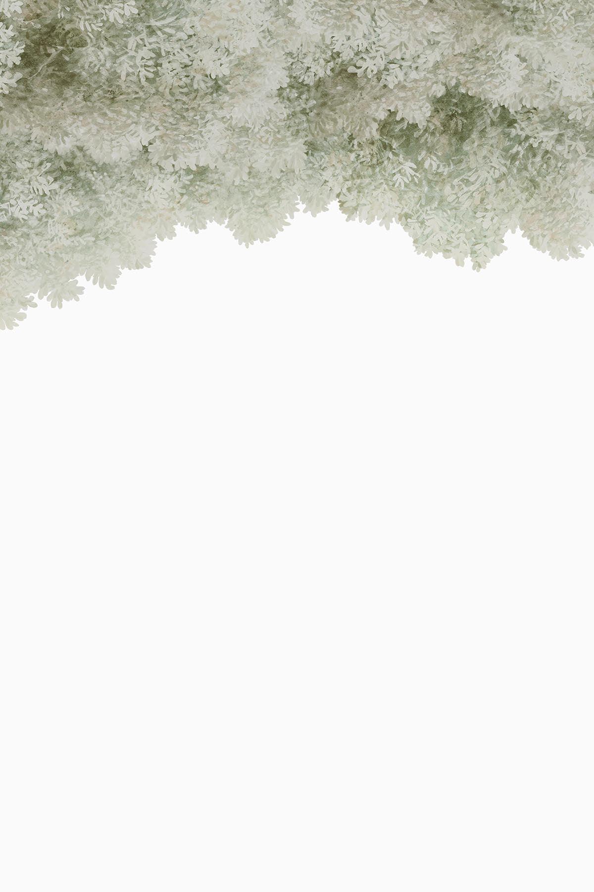  Sky Wild Forest Light Olive