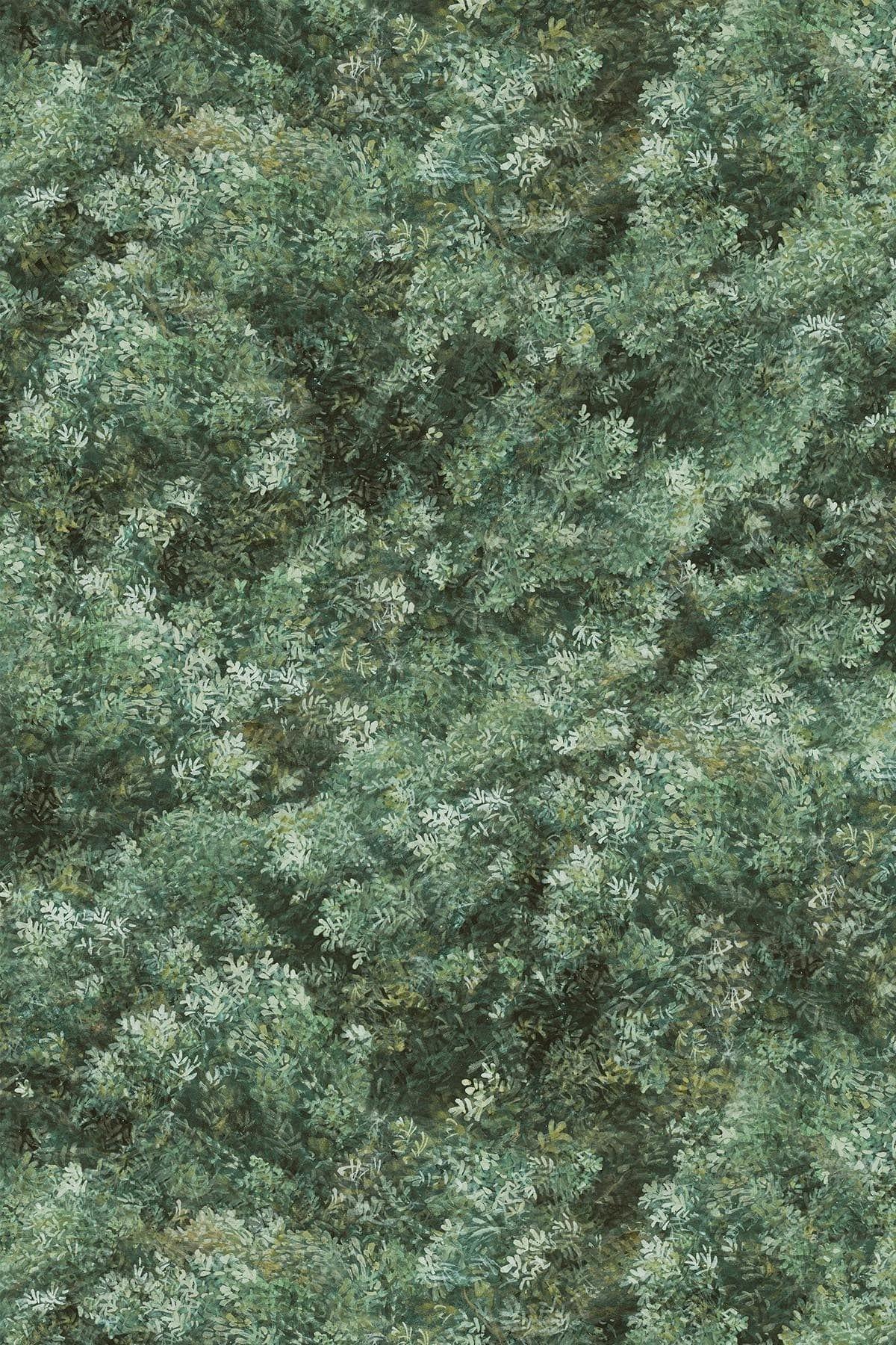 Wild Forest Ivy Green