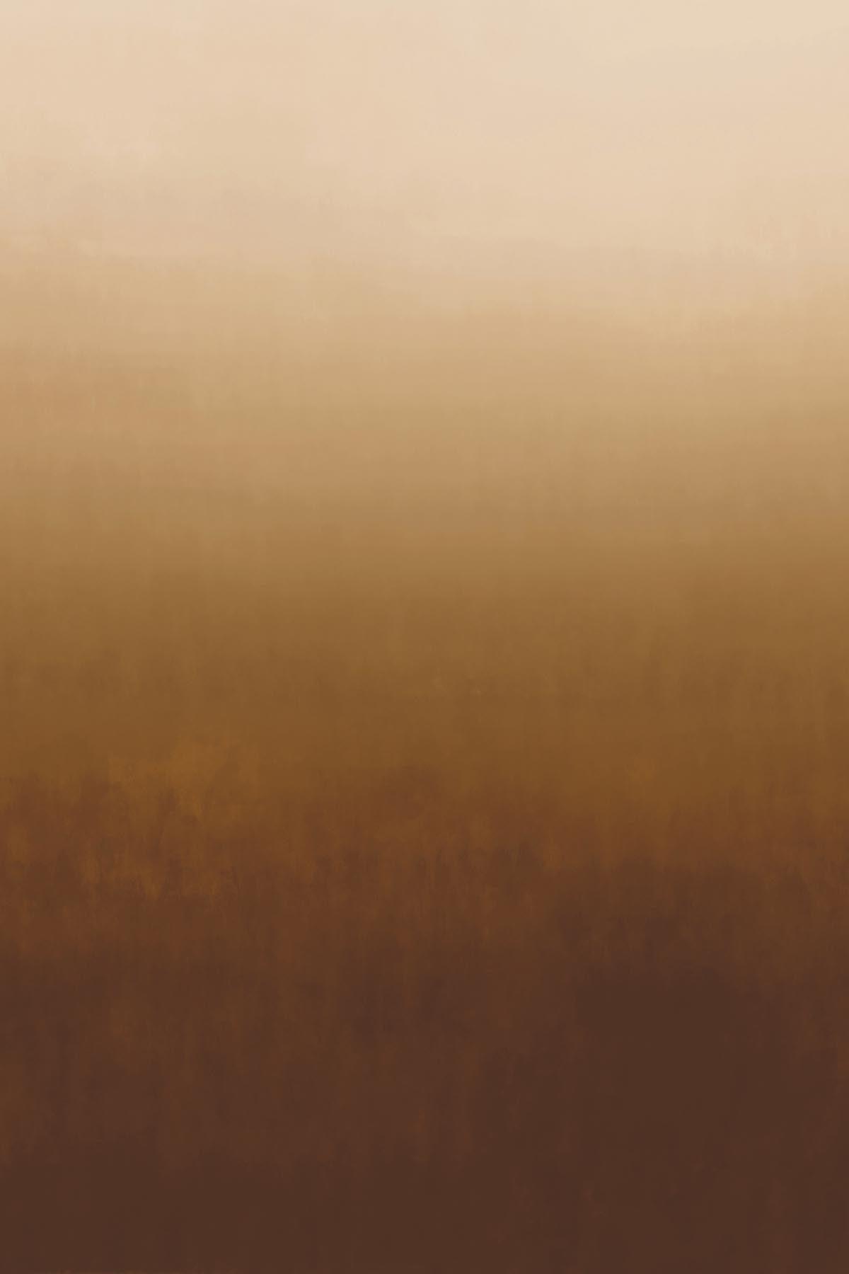  Shifting Gradient Ochre