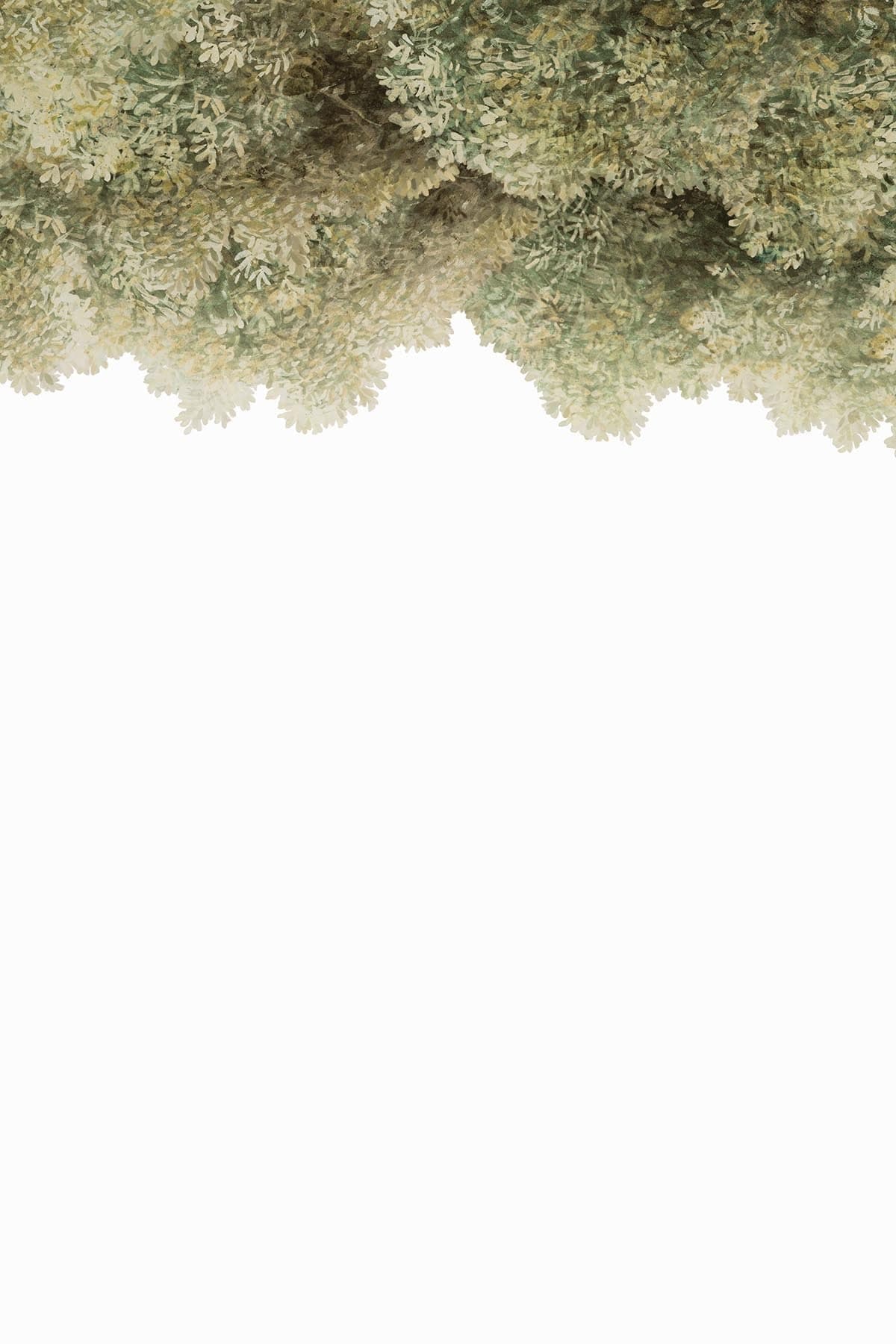  Sky Wild Forest Olive Green