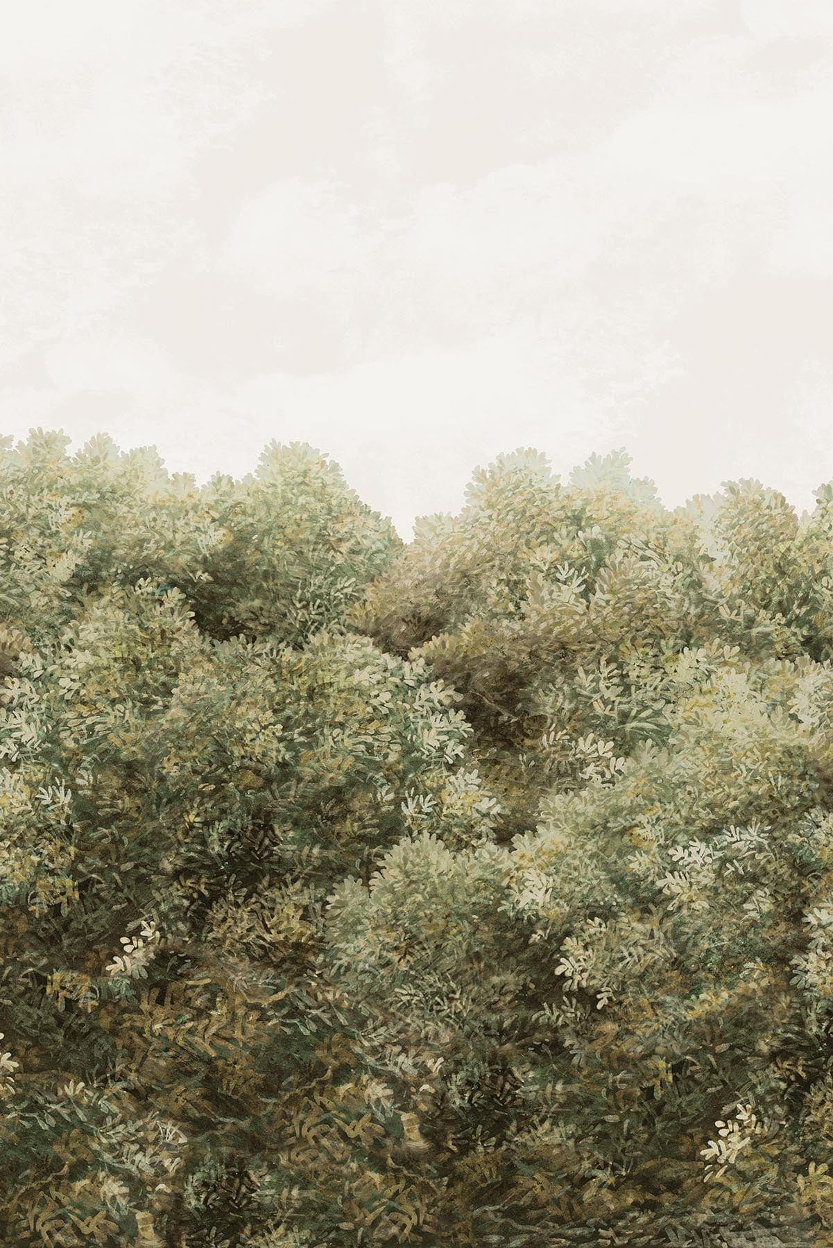  Climbing Wild Forest Olive Green