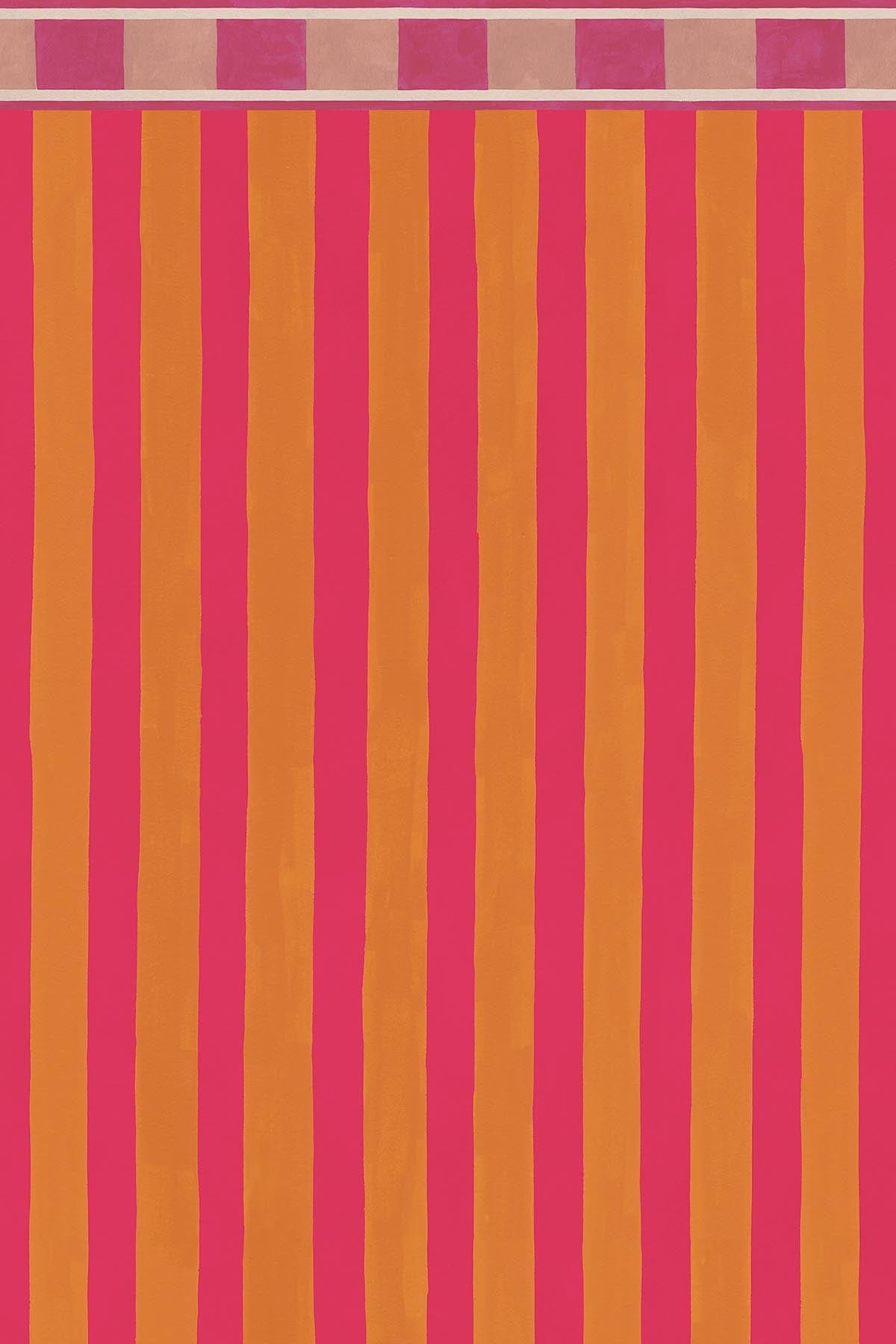  The Bold Stripe Dragonfruit