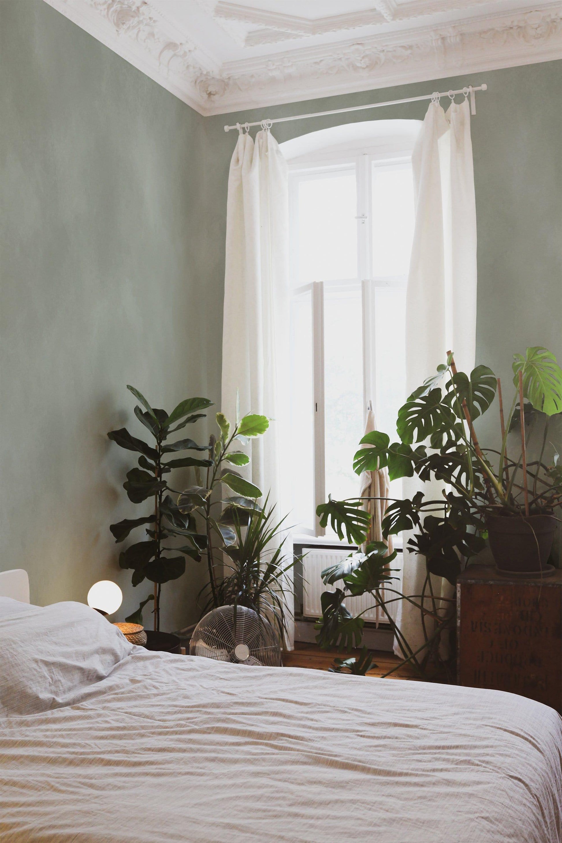  Chalk Pale Green