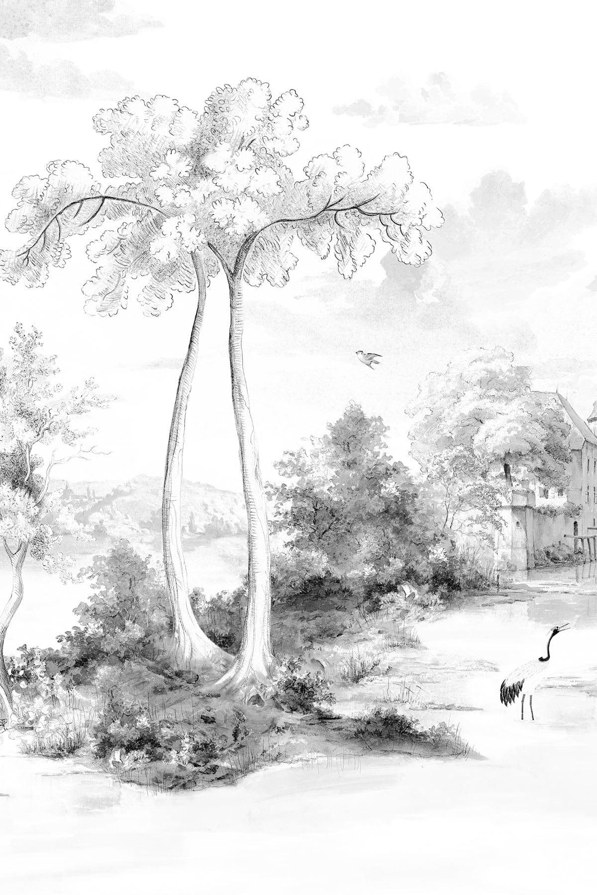  Scenic Landscape Black