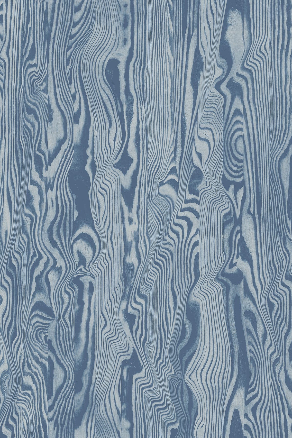  Vibrant Veneer Blue