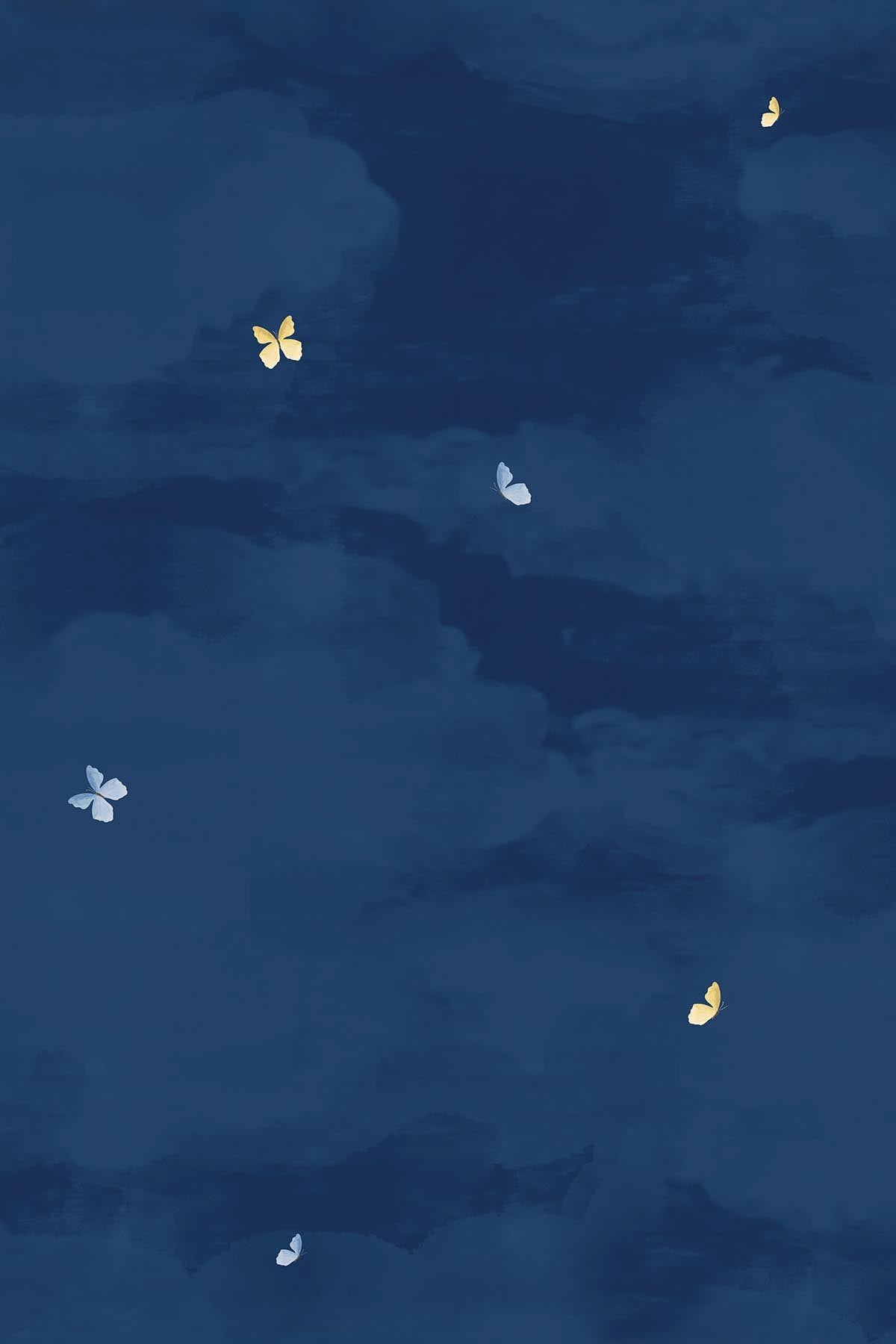  In Our Garden Sky Night