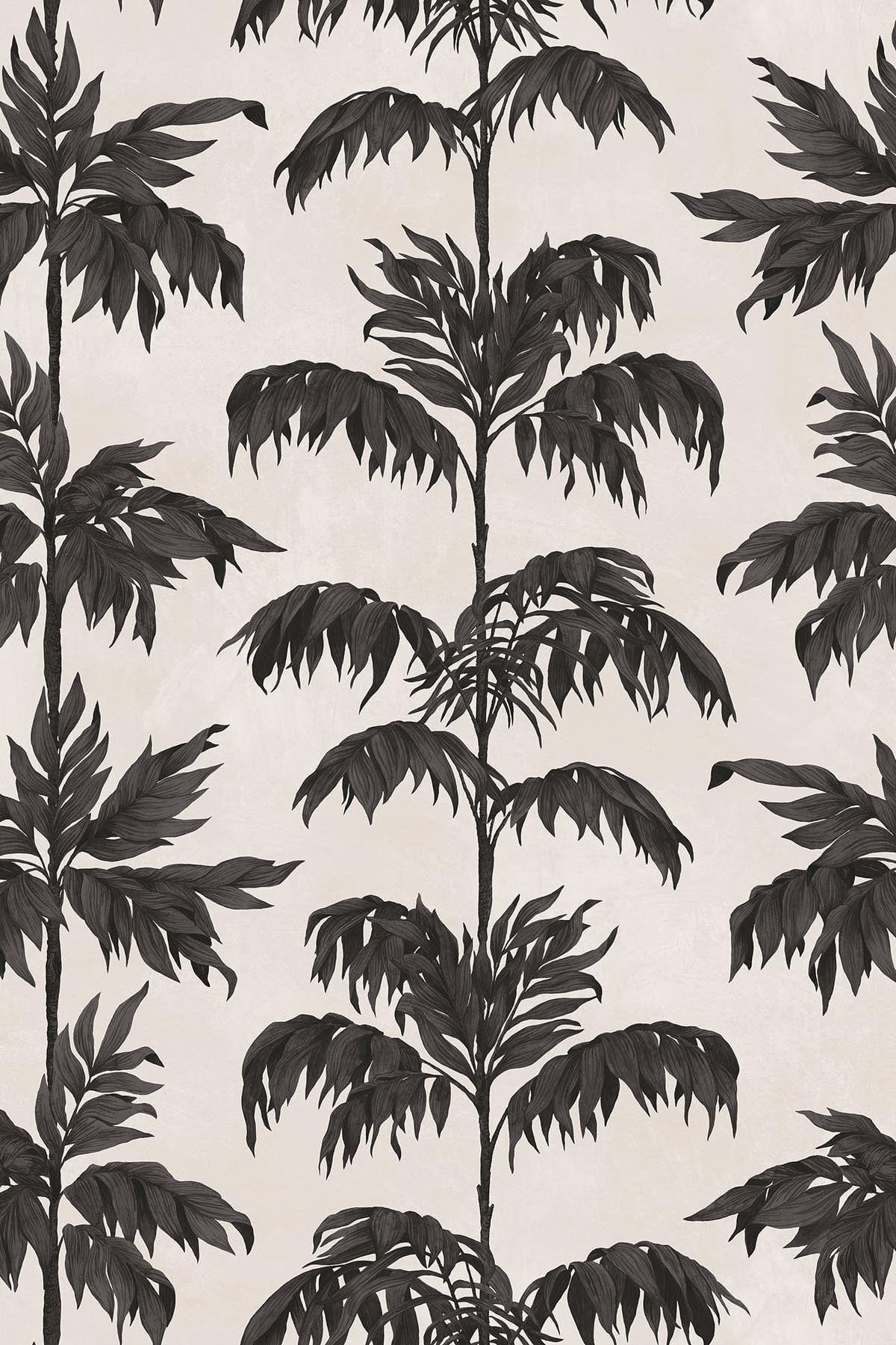  Vintage Palm Tree Small Black White