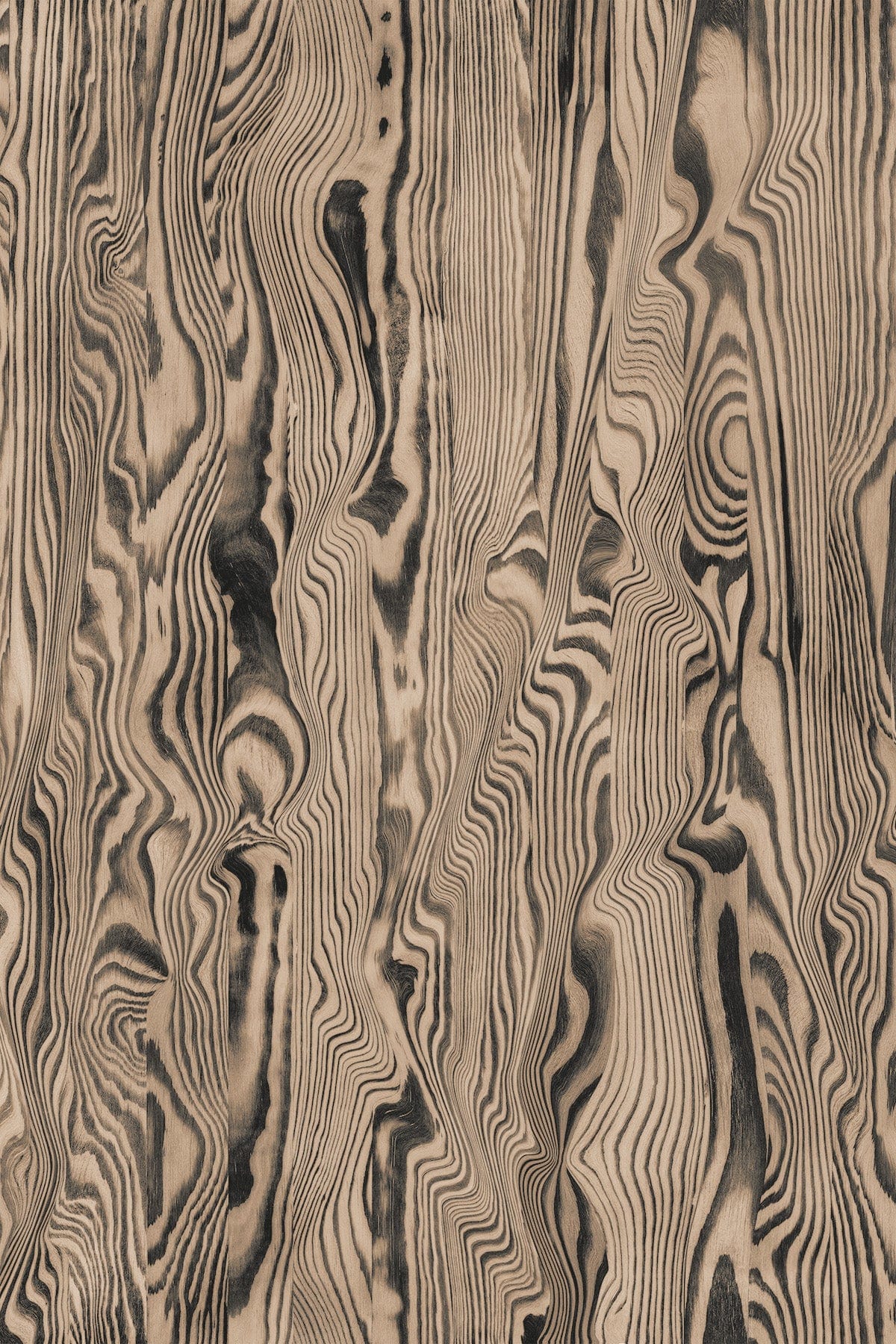  Vibrant Veneer Cherry Wood