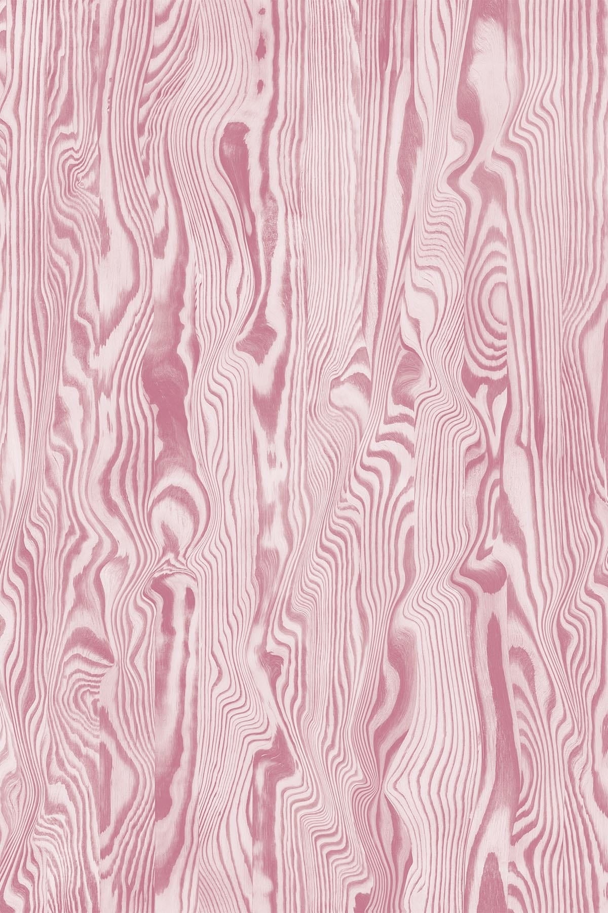  Vibrant Veneer Pink