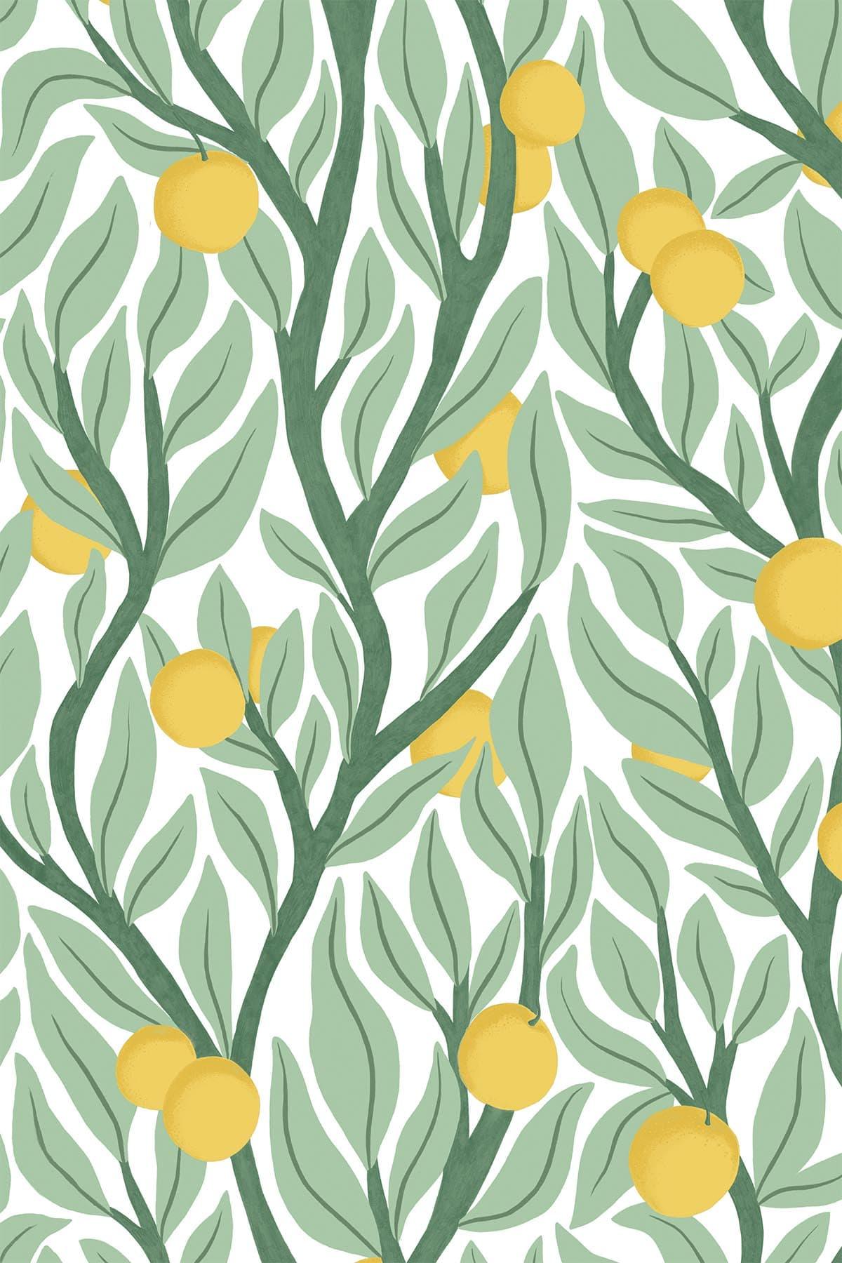  Citrus Tree Green