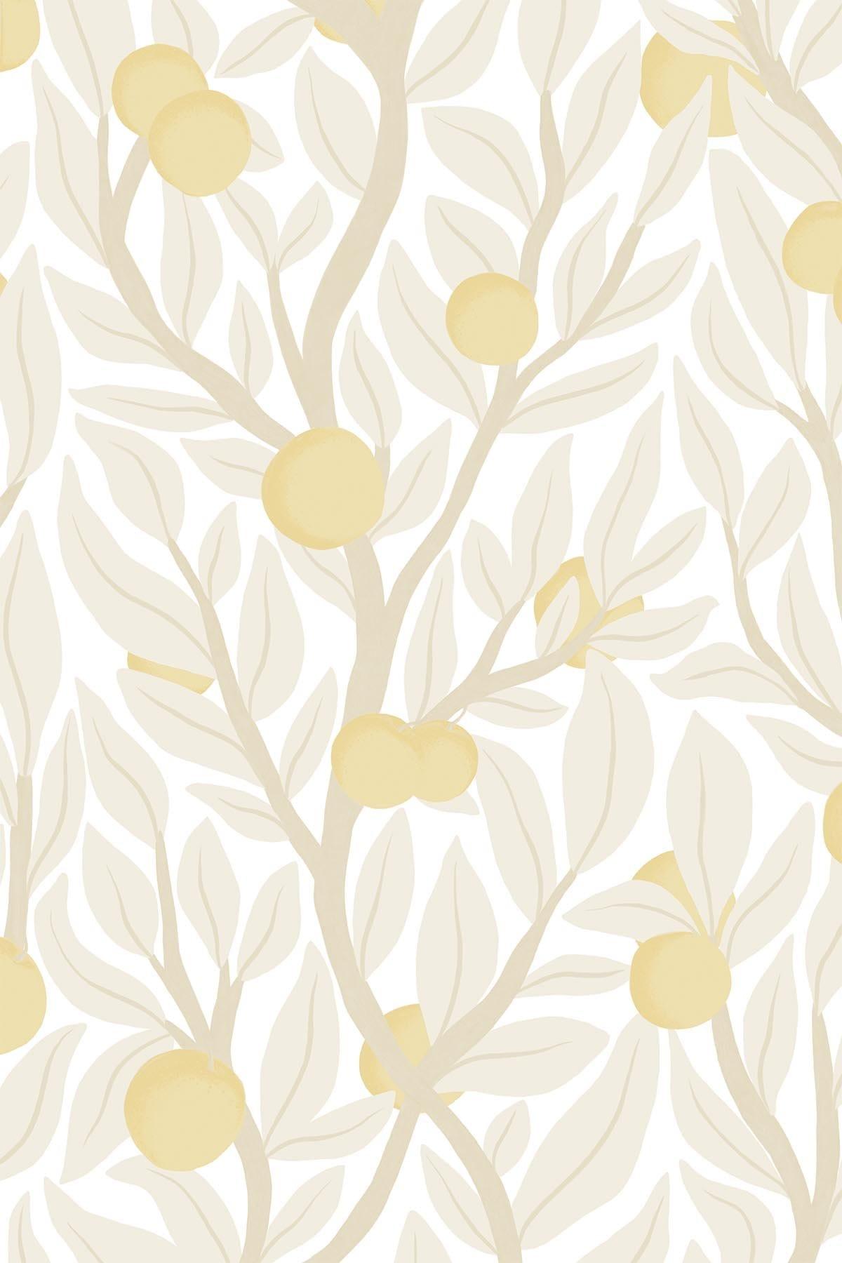  Citrus Tree Pale Yellow