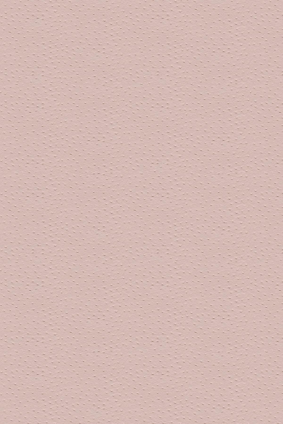  Ostrich Pink
