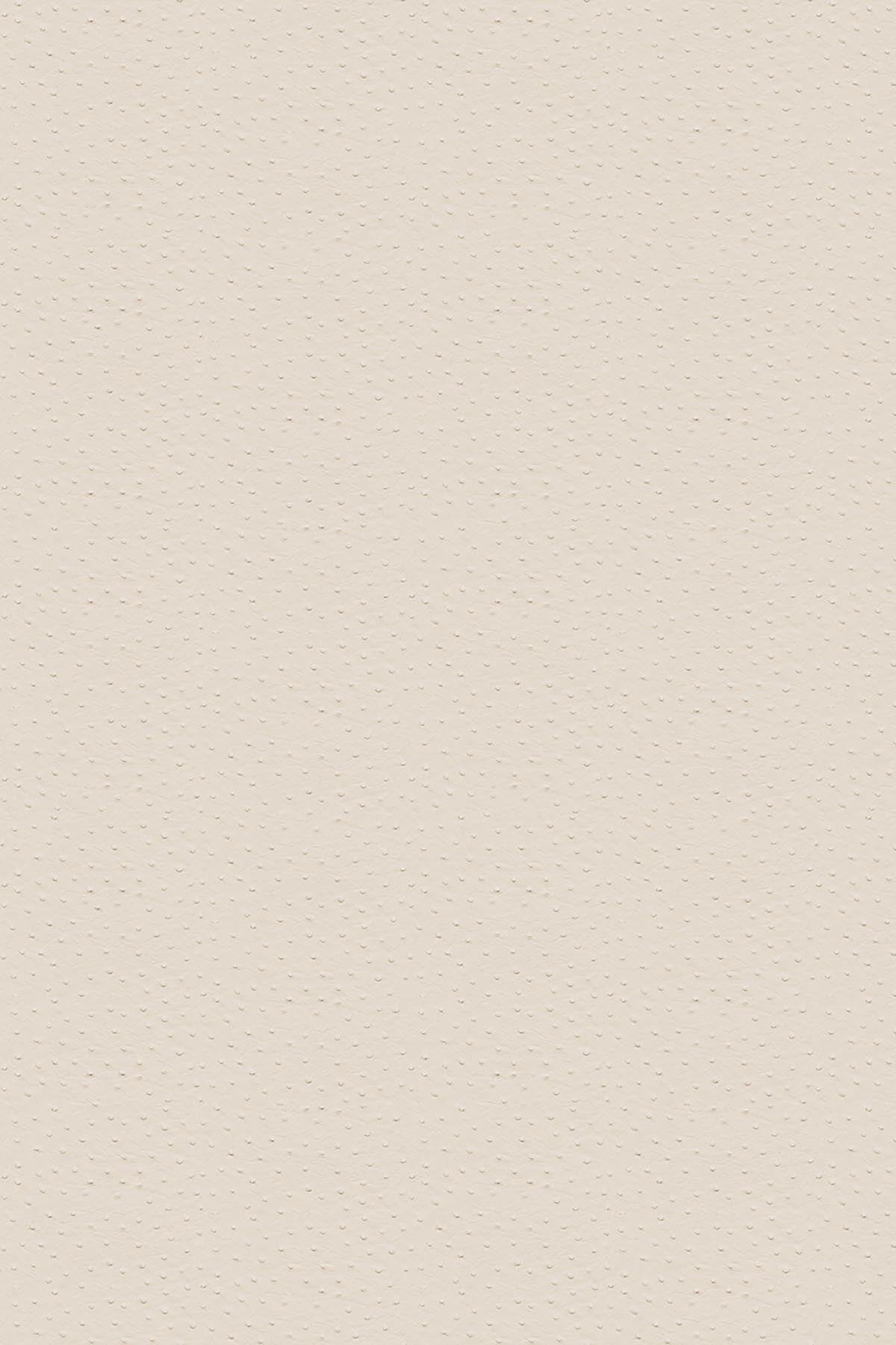  Ostrich Creme White