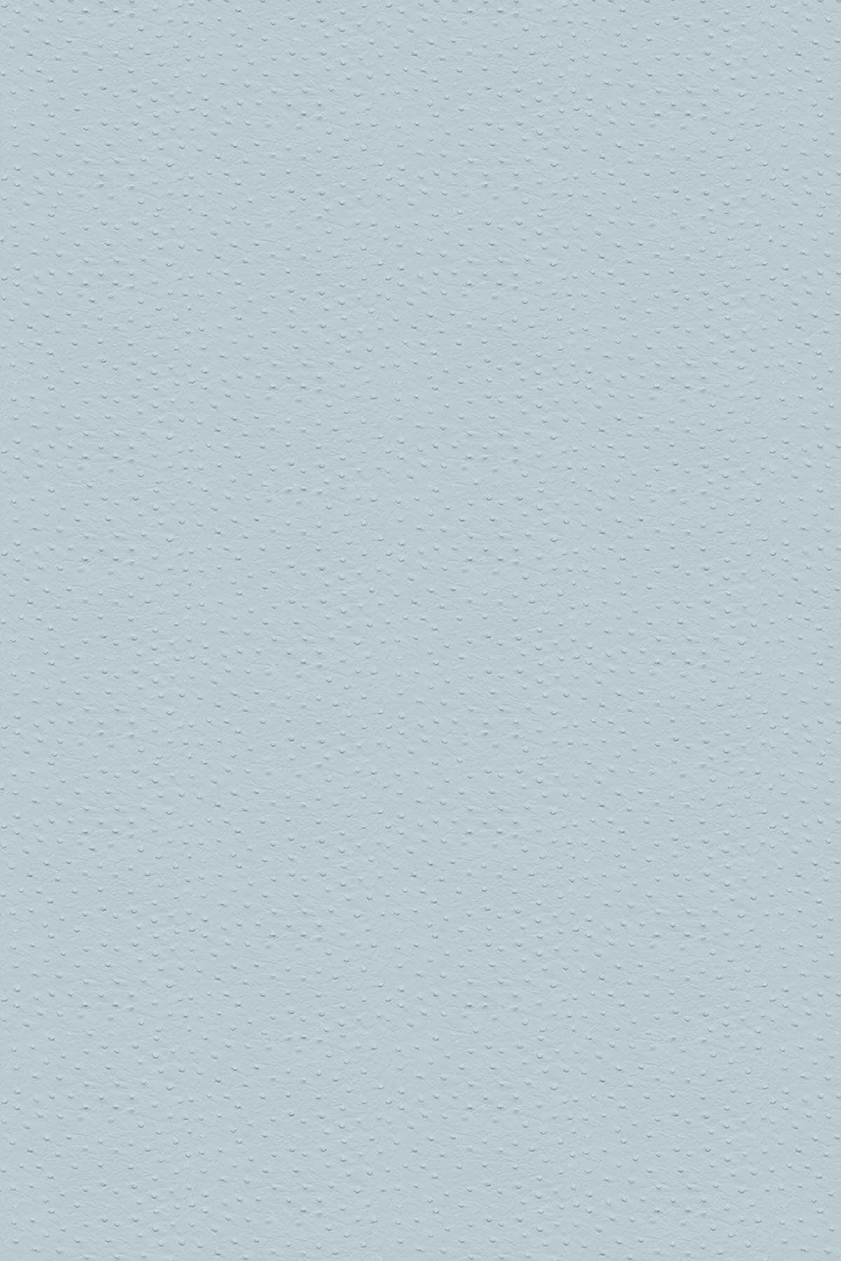  Ostrich Blue
