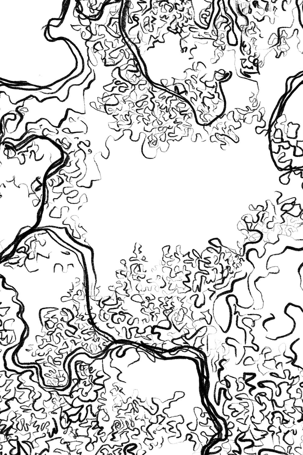 Abstract Sketch Black