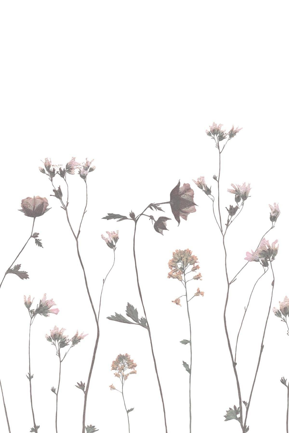  Dry Floral Fade Pastels